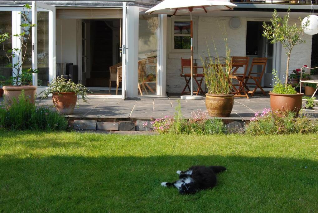 ブリストルClifton Garden Flat With Parkingアパートメント エクステリア 写真