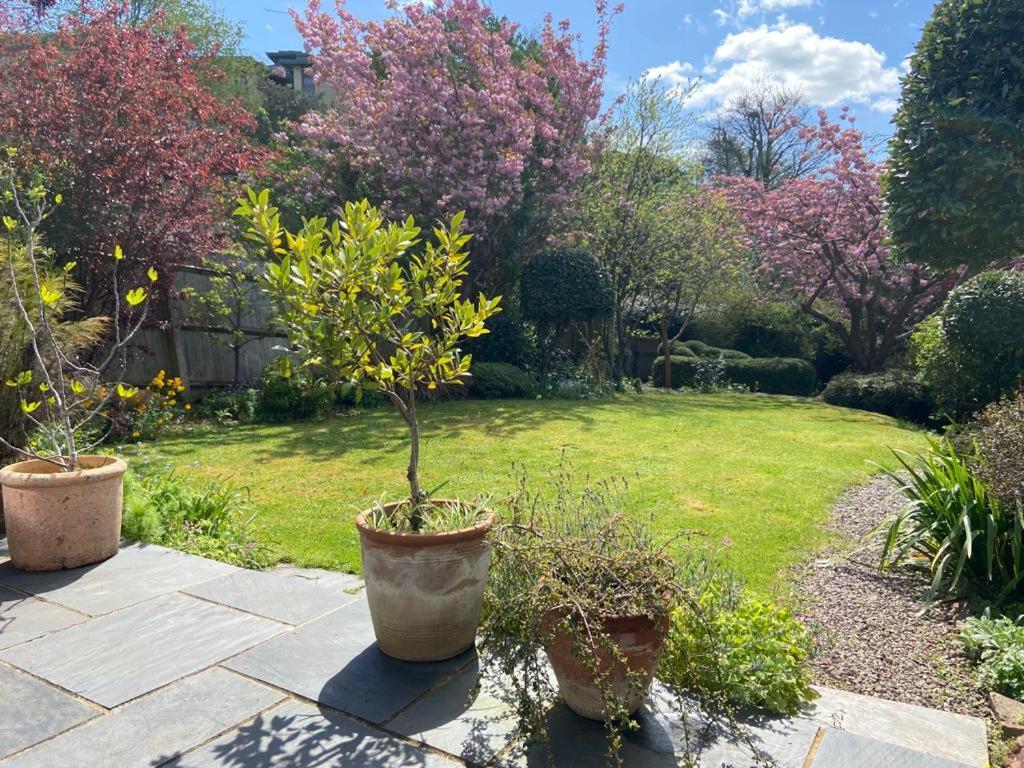 ブリストルClifton Garden Flat With Parkingアパートメント エクステリア 写真