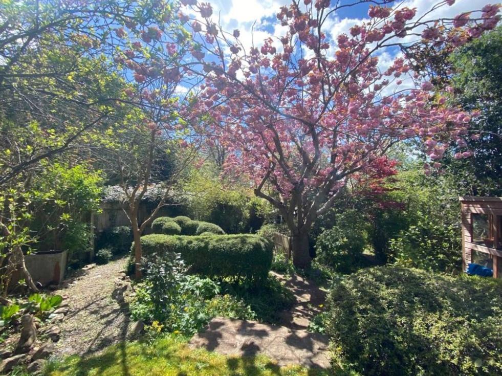ブリストルClifton Garden Flat With Parkingアパートメント エクステリア 写真